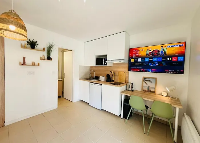 Moderne Avec Terrasse Tuluza